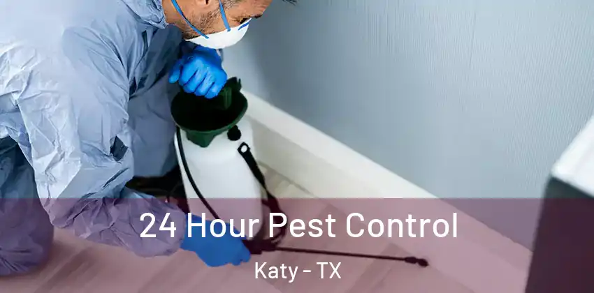  24 Hour Pest Control Katy - TX