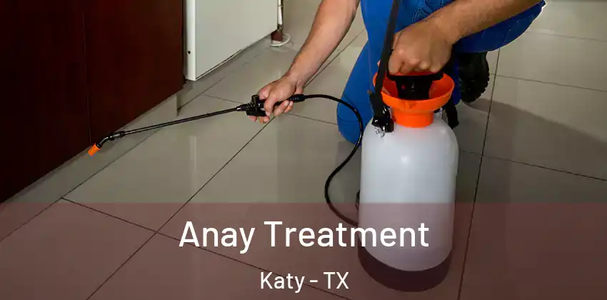  Anay Treatment Katy - TX