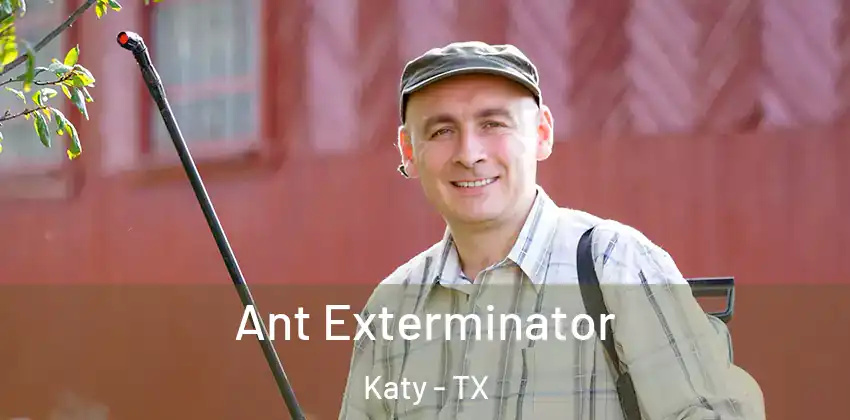  Ant Exterminator Katy - TX