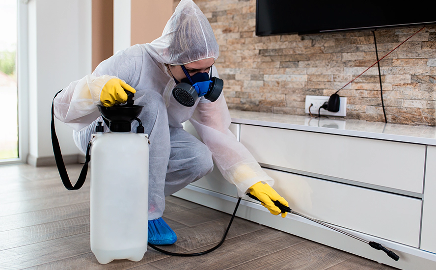 Our Proven Flea Infestation Treatment in Katy