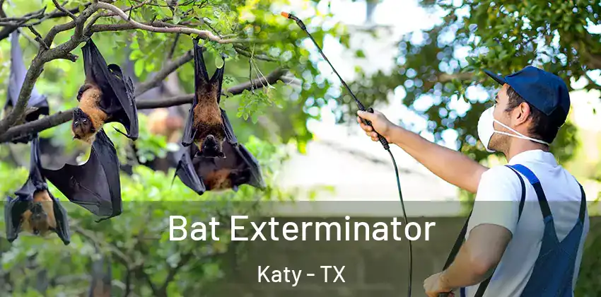  Bat Exterminator Katy - TX