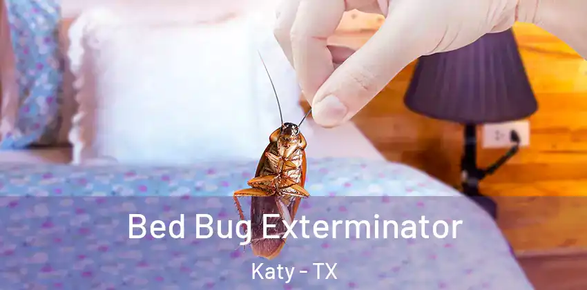  Bed Bug Exterminator Katy - TX