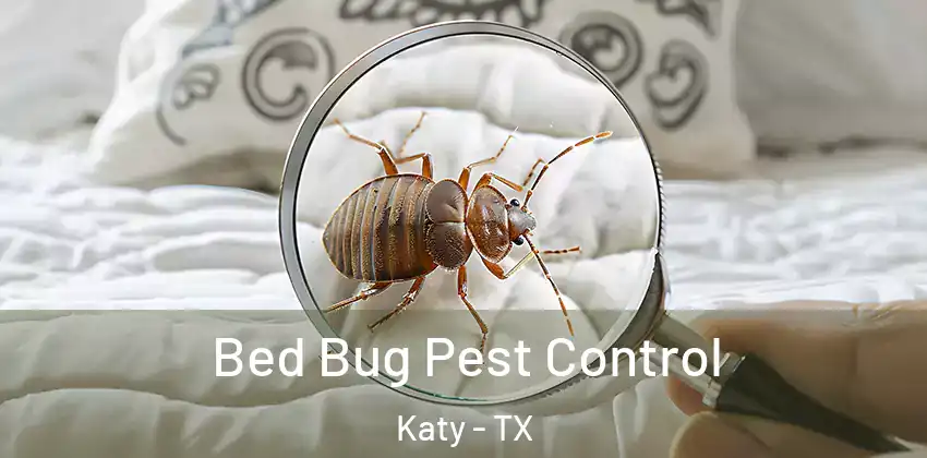  Bed Bug Pest Control Katy - TX