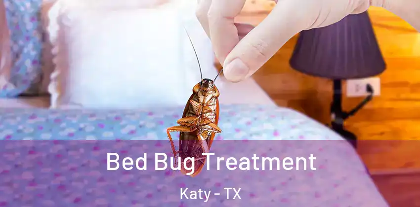  Bed Bug Treatment Katy - TX