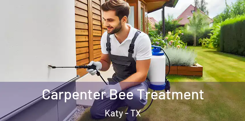  Carpenter Bee Treatment Katy - TX