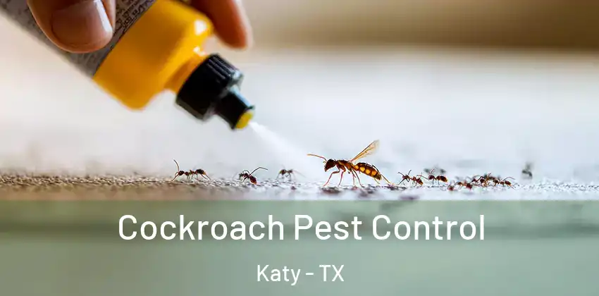  Cockroach Pest Control Katy - TX