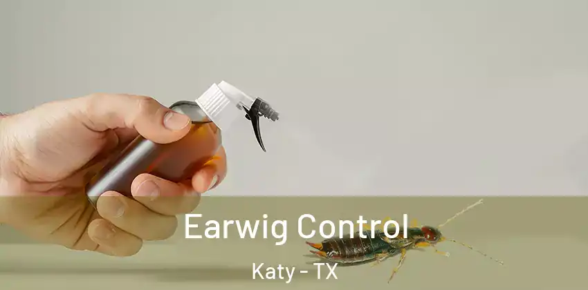  Earwig Control Katy - TX