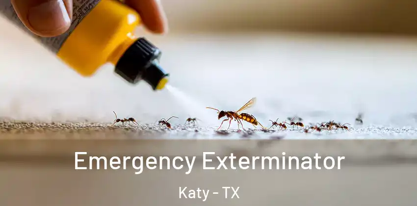  Emergency Exterminator Katy - TX