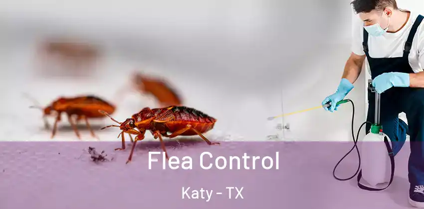  Flea Control Katy - TX