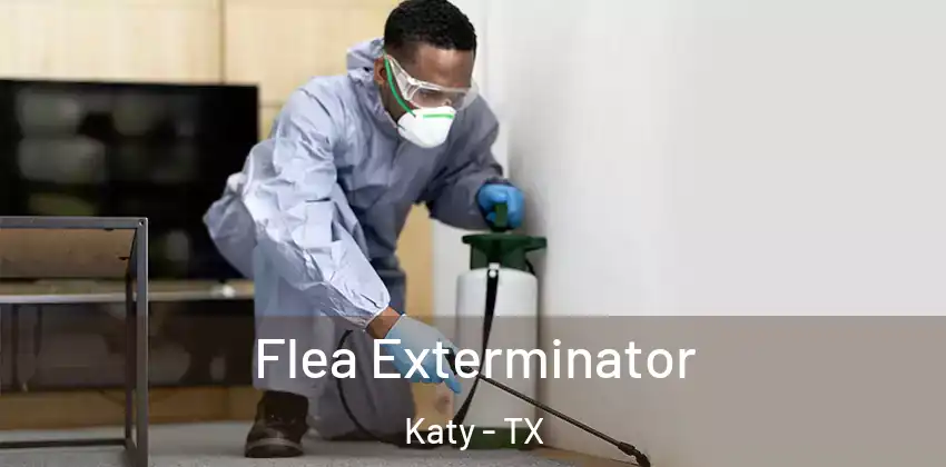  Flea Exterminator Katy - TX