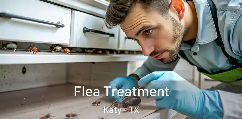  Flea Treatment Katy - TX