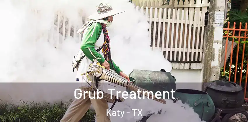  Grub Treatment Katy - TX