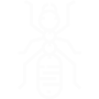 Carpenter Ants Pest Control Katy, TX