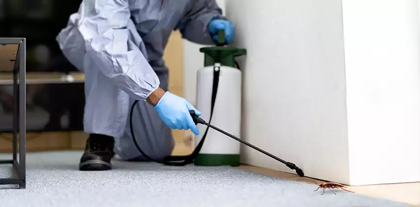 Residential Cockroach Treatment for Bedrooms in Katy, TX