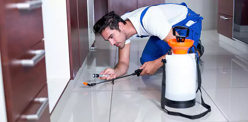 Protect Your Home with Our Pest Inspection Services Katy, TX