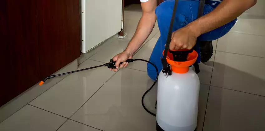 Pest Exterminator Company in Katy, TX