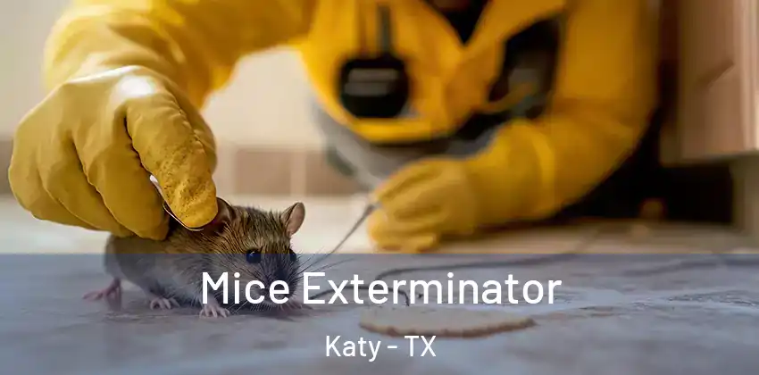  Mice Exterminator Katy - TX