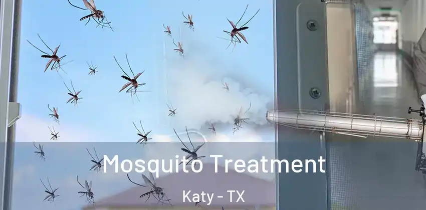  Mosquito Treatment Katy - TX