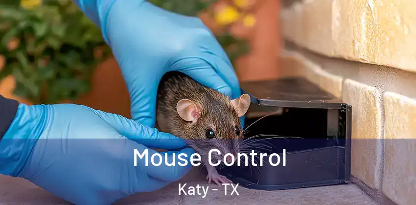  Mouse Control Katy - TX