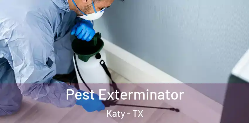  Pest Exterminator Katy - TX