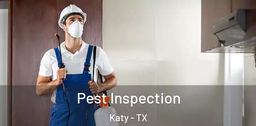  Pest Inspection Katy - TX
