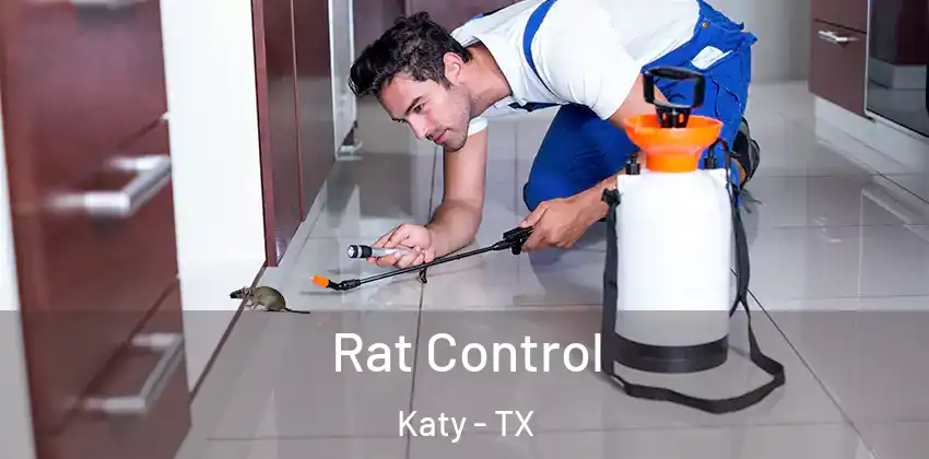  Rat Control Katy - TX