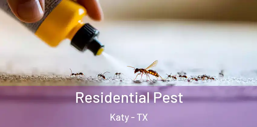  Residential Pest Katy - TX