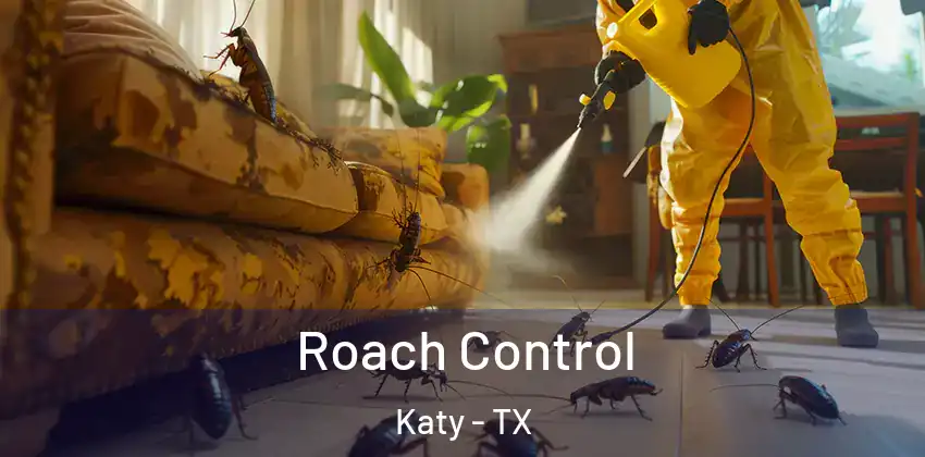  Roach Control Katy - TX