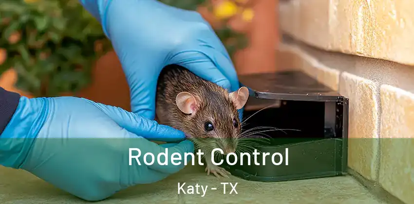  Rodent Control Katy - TX