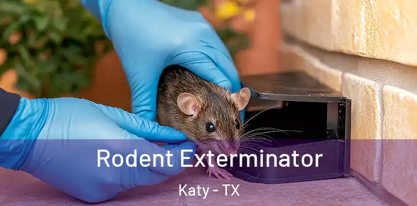  Rodent Exterminator Katy - TX