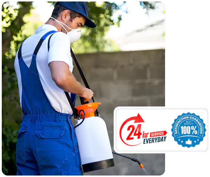 About Pest Exterminator Katy
