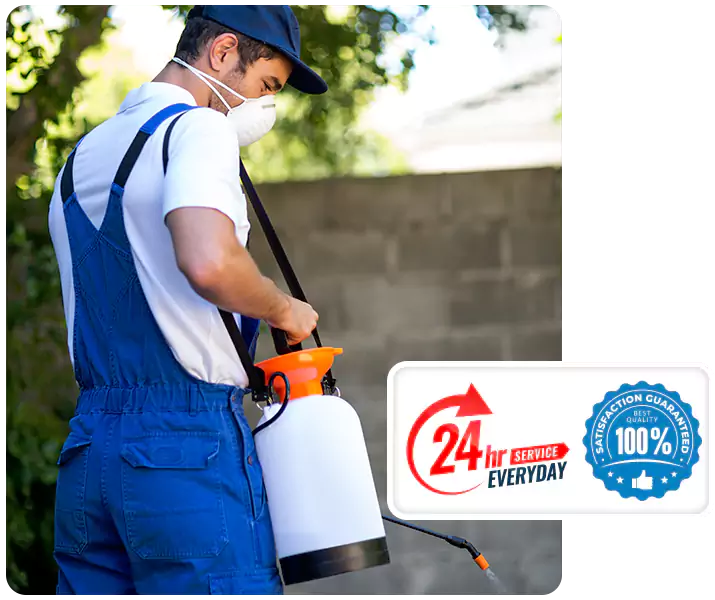 About Termite Inspection Katy