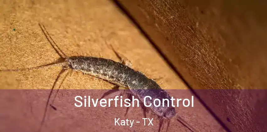  Silverfish Control Katy - TX