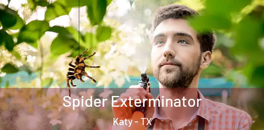  Spider Exterminator Katy - TX