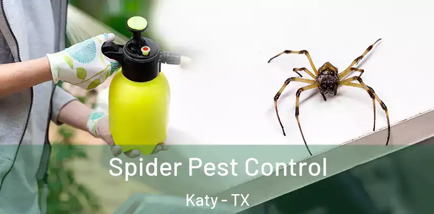  Spider Pest Control Katy - TX