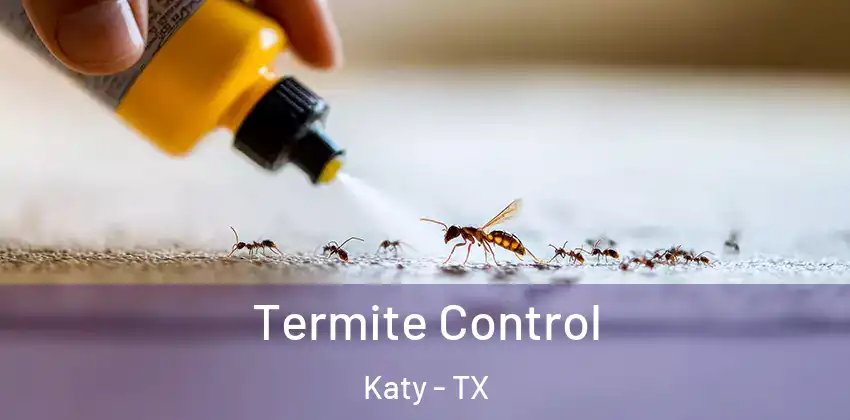  Termite Control Katy - TX