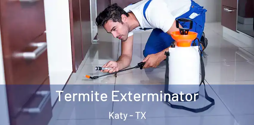  Termite Exterminator Katy - TX