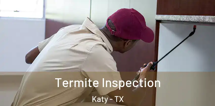  Termite Inspection Katy - TX