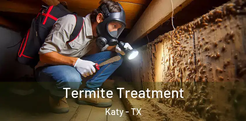  Termite Treatment Katy - TX