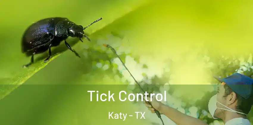  Tick Control Katy - TX