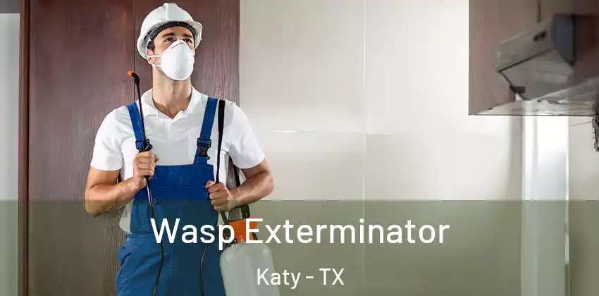  Wasp Exterminator Katy - TX