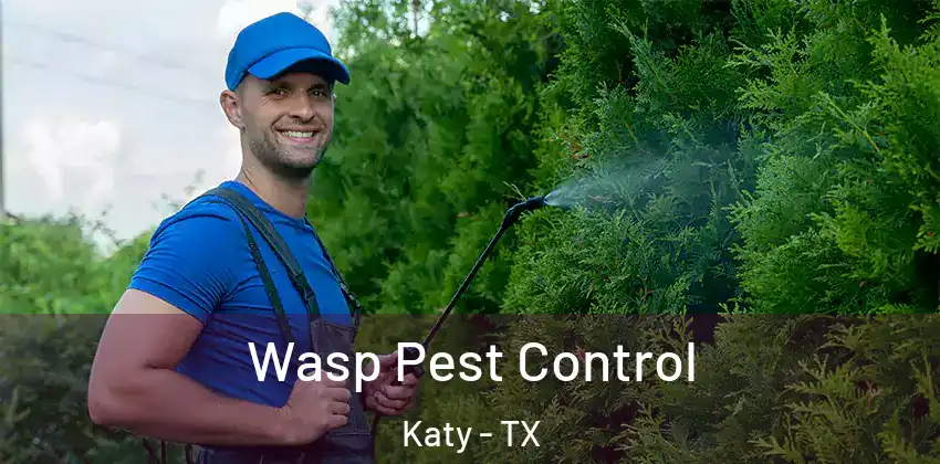  Wasp Pest Control Katy - TX