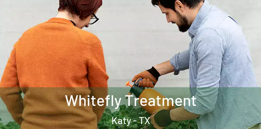  Whitefly Treatment Katy - TX