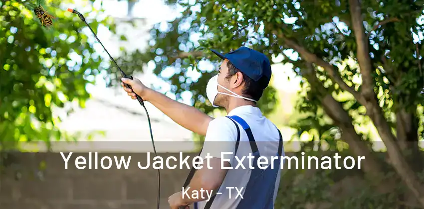  Yellow Jacket Exterminator Katy - TX